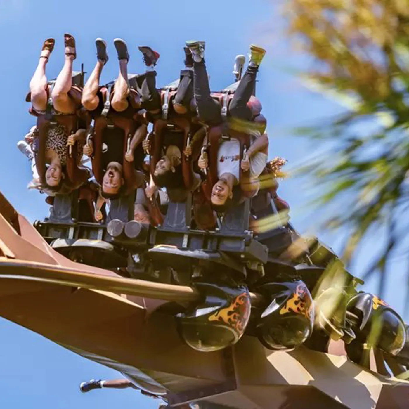 Thorpe Park Before You Visit | Merlin Entertainments Accessibility