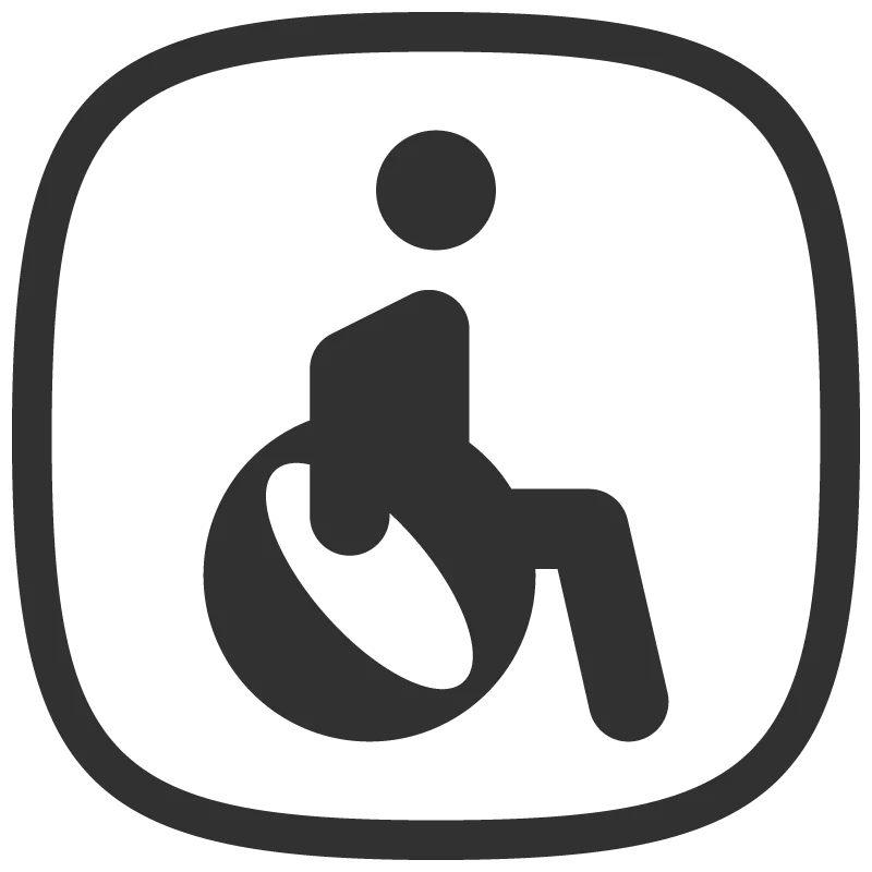 Wheelchair Icon