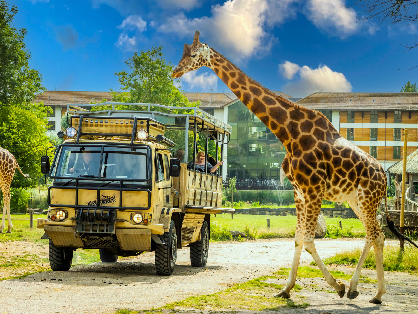 Chessington World of Adventures Giraffe Safari