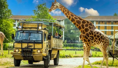 Chessington World of Adventures Giraffe Safari